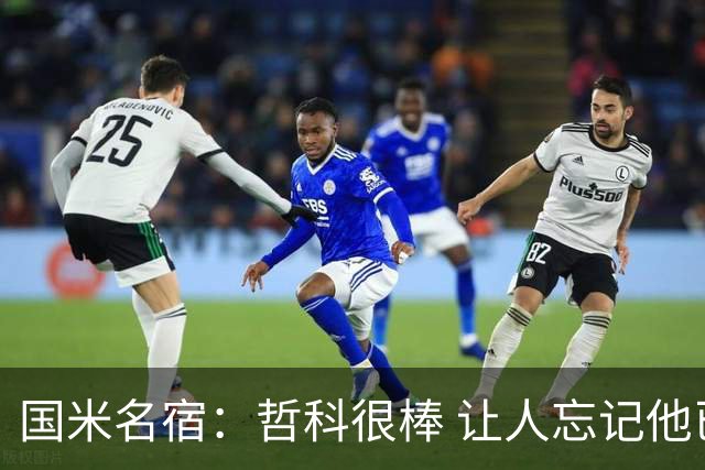国米名宿：哲科很棒 让人忘记他已经这么大年纪