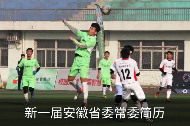 新一届安徽省委常委简历